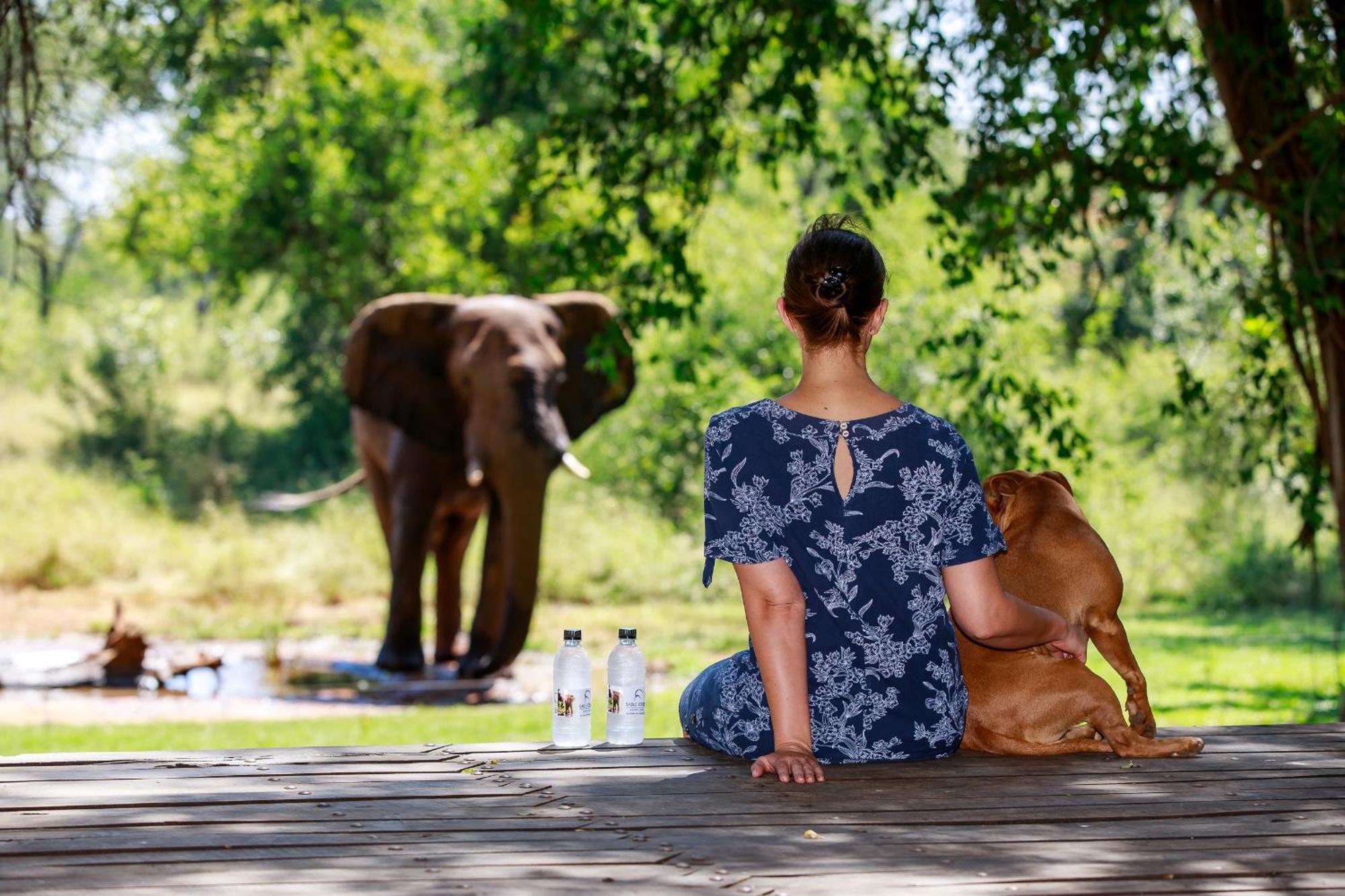 Sable Creek Safari Lodge Tzaneen Exteriér fotografie