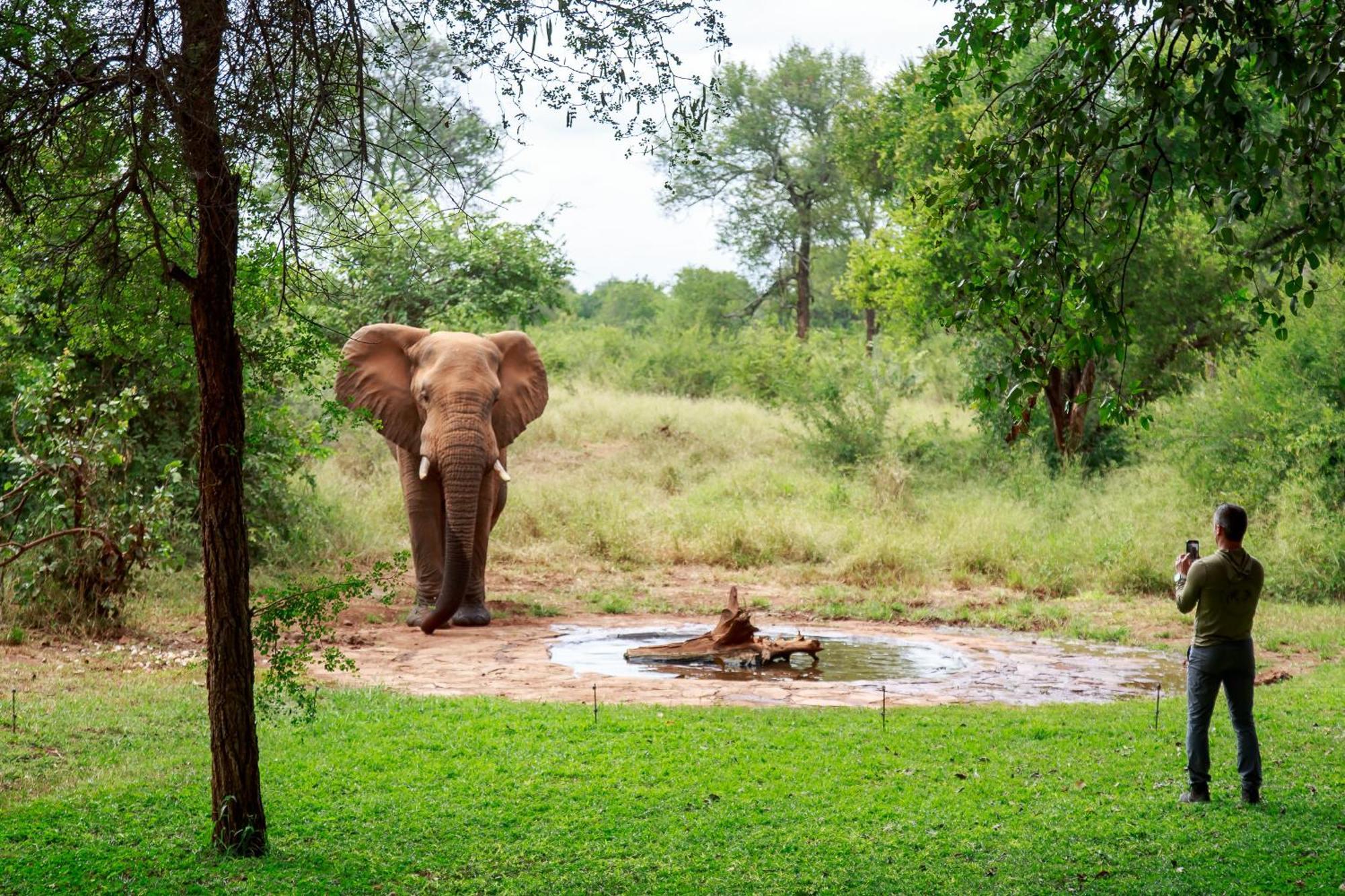 Sable Creek Safari Lodge Tzaneen Exteriér fotografie